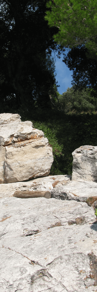 helle, kantige Felsen vor dunkelgrüner Vegetation